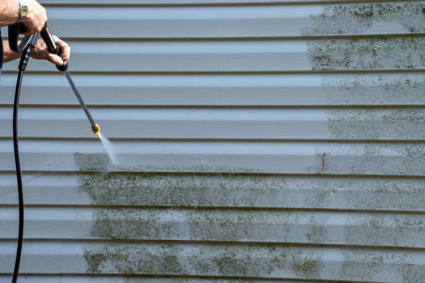 Best Attic Cleanout  in De Witt, NY